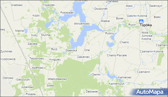 mapa Orle gmina Topólka, Orle gmina Topólka na mapie Targeo