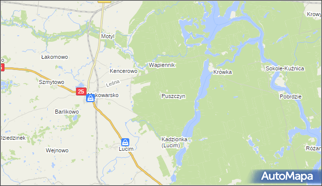 mapa Puszczyn gmina Koronowo, Puszczyn gmina Koronowo na mapie Targeo