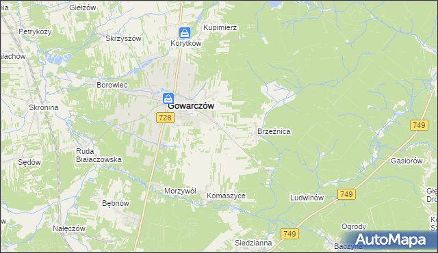 mapa Rogówek gmina Gowarczów, Rogówek gmina Gowarczów na mapie Targeo