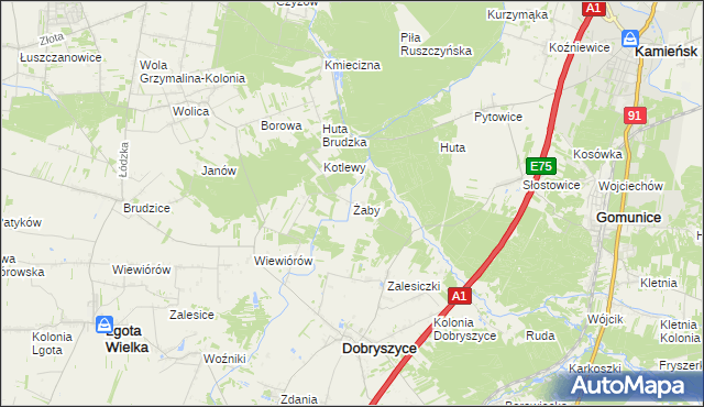 mapa Żaby gmina Dobryszyce, Żaby gmina Dobryszyce na mapie Targeo