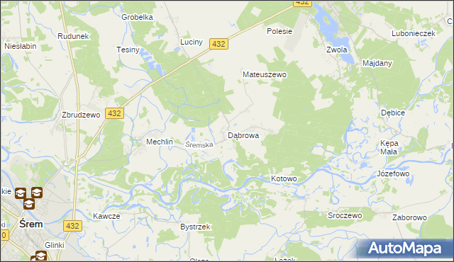 mapa Dąbrowa gmina Śrem, Dąbrowa gmina Śrem na mapie Targeo