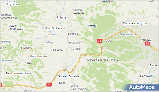 mapa Dzielce, Dzielce na mapie Targeo