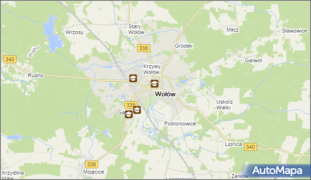 mapa Wołów, Wołów na mapie Targeo