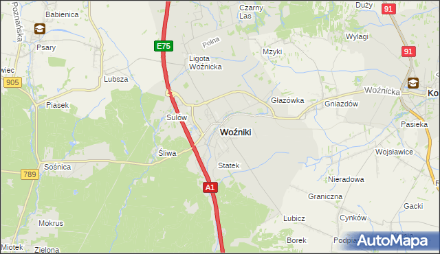 mapa Woźniki powiat lubliniecki, Woźniki powiat lubliniecki na mapie Targeo