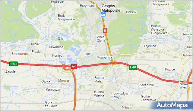 mapa Rogoźnica gmina Głogów Małopolski, Rogoźnica gmina Głogów Małopolski na mapie Targeo