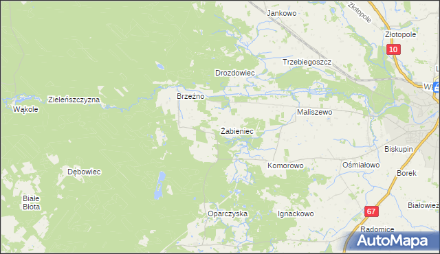mapa Żabieniec gmina Lipno, Żabieniec gmina Lipno na mapie Targeo