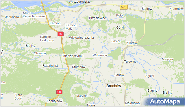 mapa Witkowice gmina Młodzieszyn, Witkowice gmina Młodzieszyn na mapie Targeo