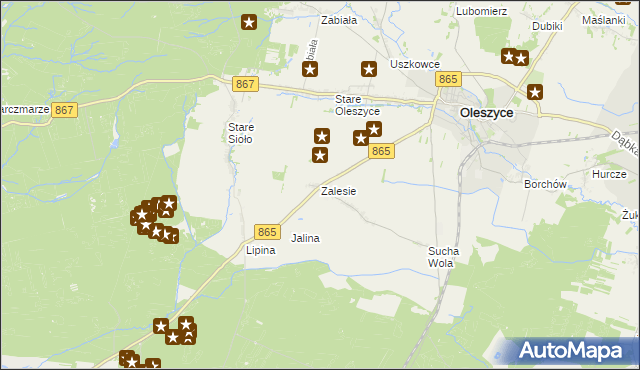 mapa Zalesie gmina Oleszyce, Zalesie gmina Oleszyce na mapie Targeo