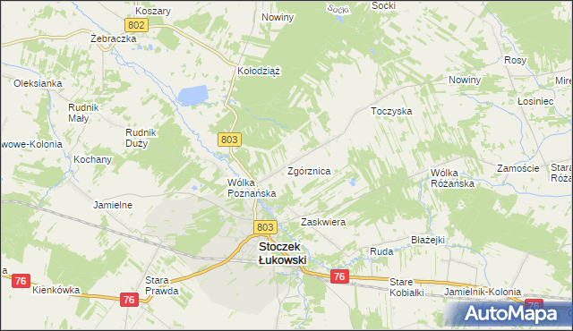 mapa Zgórznica, Zgórznica na mapie Targeo