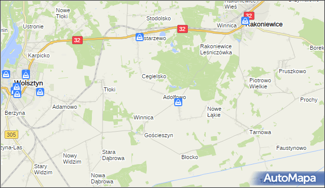mapa Adolfowo gmina Rakoniewice, Adolfowo gmina Rakoniewice na mapie Targeo