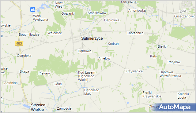 mapa Anielów gmina Sulmierzyce, Anielów gmina Sulmierzyce na mapie Targeo