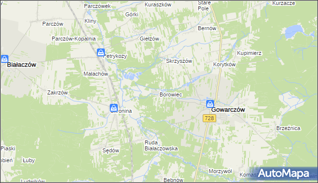 mapa Borowiec gmina Gowarczów, Borowiec gmina Gowarczów na mapie Targeo