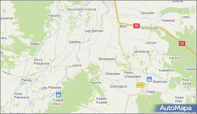 mapa Borzewisko gmina Poddębice, Borzewisko gmina Poddębice na mapie Targeo