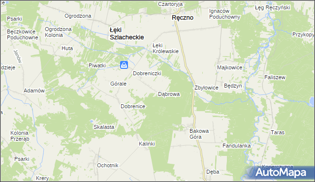 mapa Dąbrowa gmina Łęki Szlacheckie, Dąbrowa gmina Łęki Szlacheckie na mapie Targeo