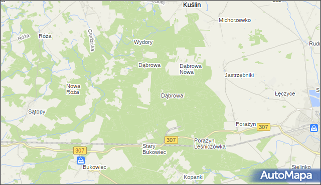 mapa Dąbrowa gmina Opalenica, Dąbrowa gmina Opalenica na mapie Targeo