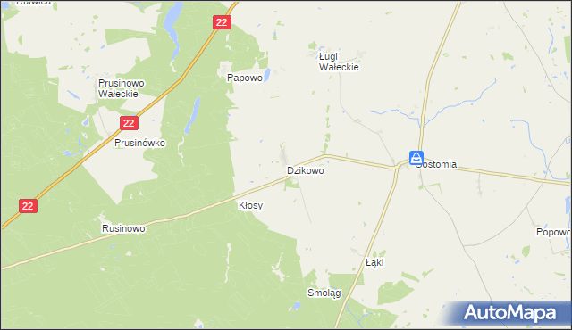 mapa Dzikowo gmina Wałcz, Dzikowo gmina Wałcz na mapie Targeo