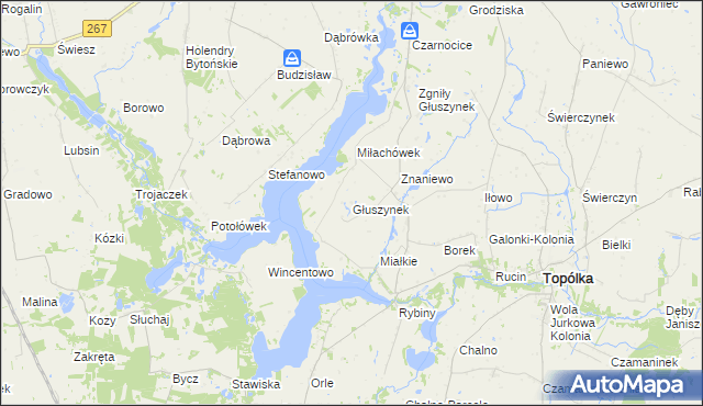 mapa Głuszynek, Głuszynek na mapie Targeo