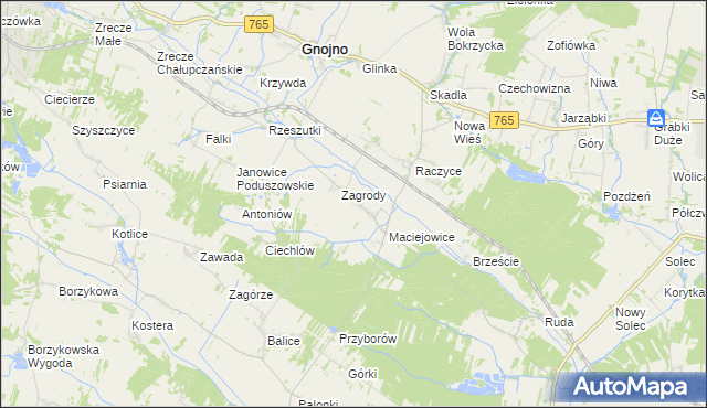 mapa Janowice Raczyckie, Janowice Raczyckie na mapie Targeo