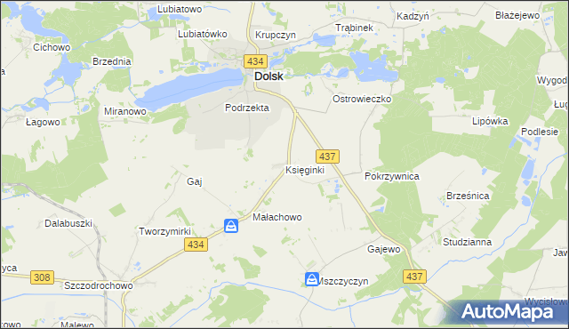 mapa Księginki gmina Dolsk, Księginki gmina Dolsk na mapie Targeo