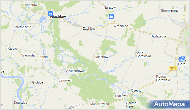 mapa Miechów gmina Niechlów, Miechów gmina Niechlów na mapie Targeo