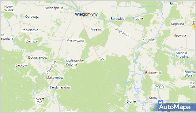 mapa Rogi gmina Wielgomłyny, Rogi gmina Wielgomłyny na mapie Targeo