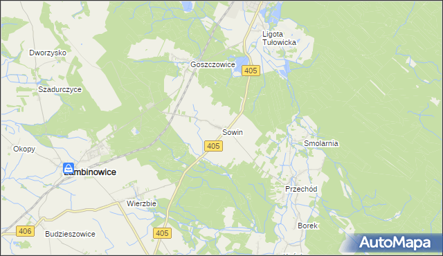 mapa Sowin gmina Łambinowice, Sowin gmina Łambinowice na mapie Targeo