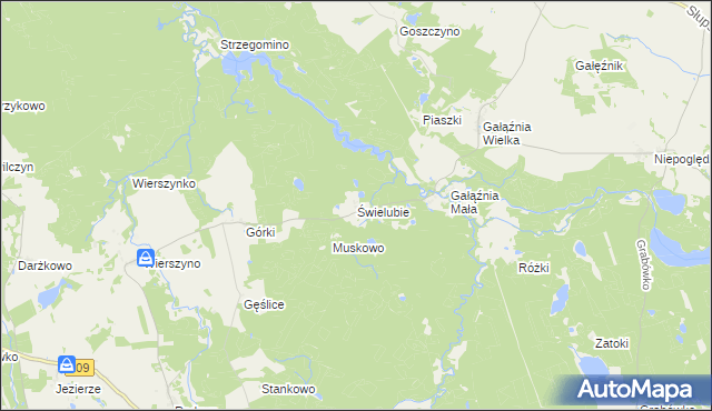 mapa Świelubie gmina Kołczygłowy, Świelubie gmina Kołczygłowy na mapie Targeo