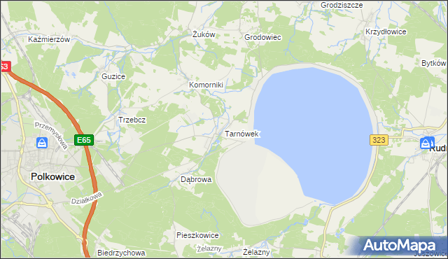 mapa Tarnówek gmina Polkowice, Tarnówek gmina Polkowice na mapie Targeo