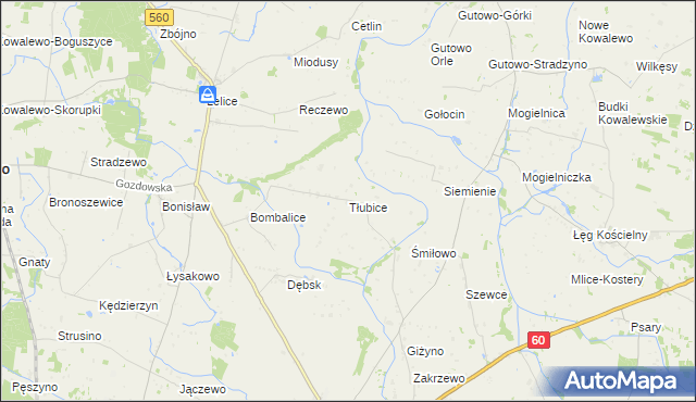 mapa Tłubice, Tłubice na mapie Targeo