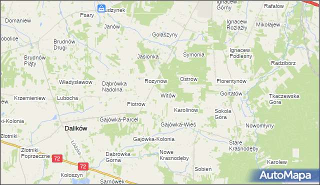 mapa Witów gmina Dalików, Witów gmina Dalików na mapie Targeo