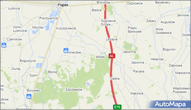 mapa Witów gmina Piątek, Witów gmina Piątek na mapie Targeo