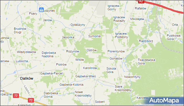 mapa Włodzimierzów gmina Dalików, Włodzimierzów gmina Dalików na mapie Targeo