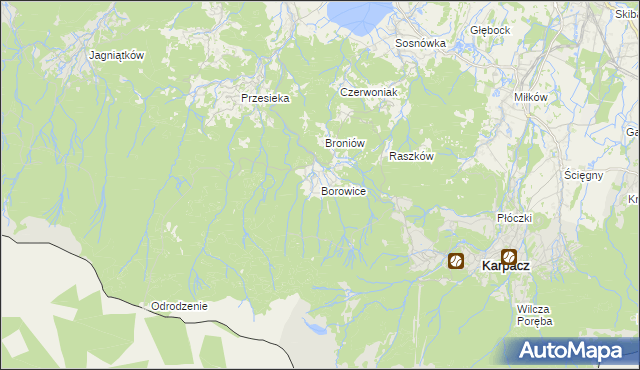 mapa Borowice gmina Podgórzyn, Borowice gmina Podgórzyn na mapie Targeo