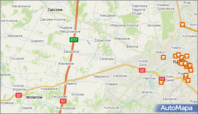 mapa Cerekiew gmina Zakrzew, Cerekiew gmina Zakrzew na mapie Targeo