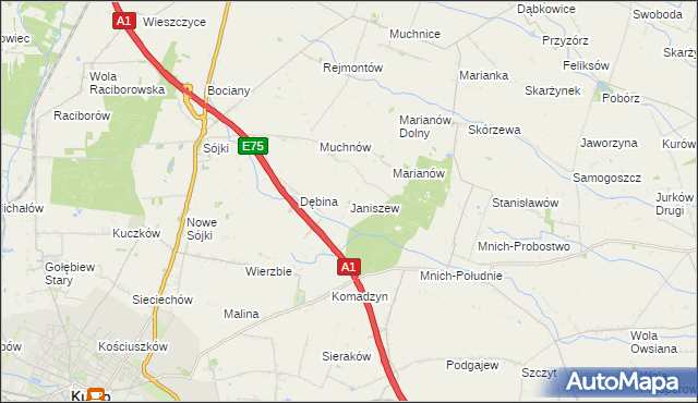 mapa Janiszew gmina Strzelce, Janiszew gmina Strzelce na mapie Targeo