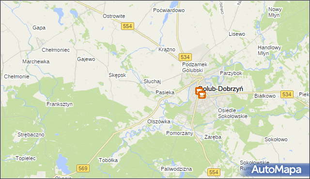 mapa Pasieka gmina Golub-Dobrzyń, Pasieka gmina Golub-Dobrzyń na mapie Targeo