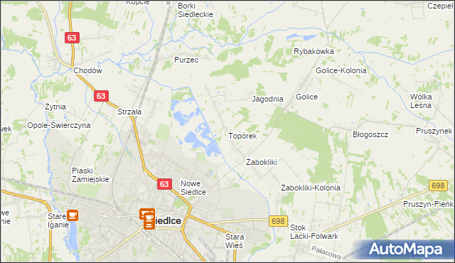mapa Topórek, Topórek na mapie Targeo