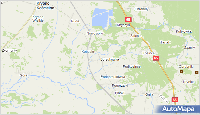 mapa Borsukówka, Borsukówka na mapie Targeo
