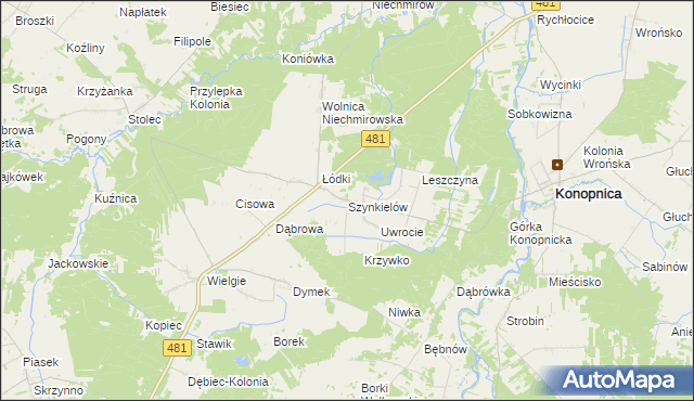 mapa Szynkielów, Szynkielów na mapie Targeo