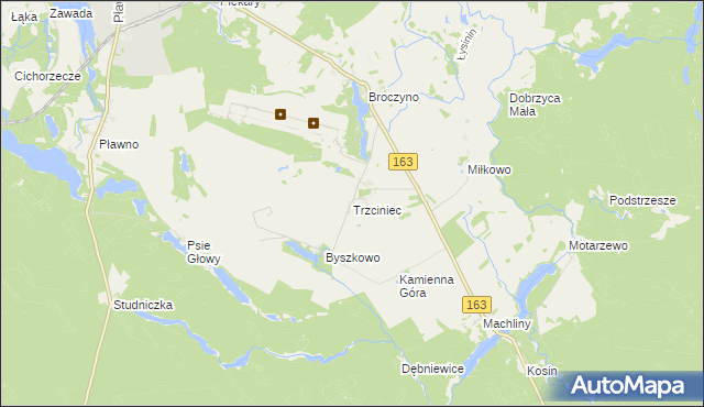 mapa Trzciniec gmina Czaplinek, Trzciniec gmina Czaplinek na mapie Targeo