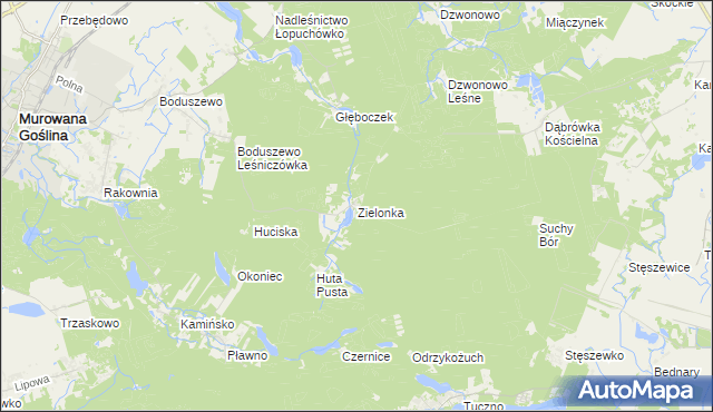 mapa Zielonka gmina Murowana Goślina, Zielonka gmina Murowana Goślina na mapie Targeo