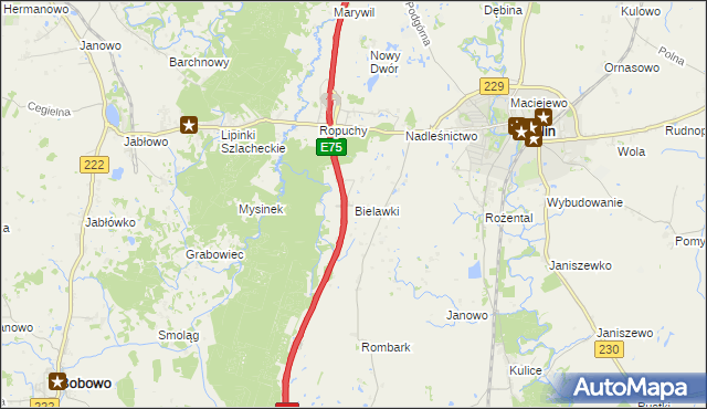 mapa Bielawki gmina Pelplin, Bielawki gmina Pelplin na mapie Targeo