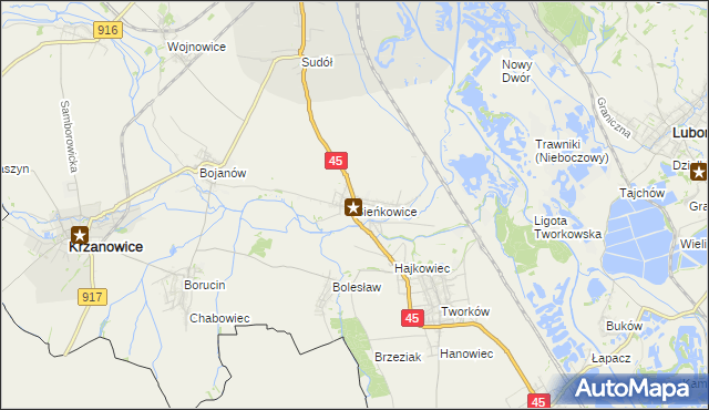 mapa Bieńkowice gmina Krzyżanowice, Bieńkowice gmina Krzyżanowice na mapie Targeo