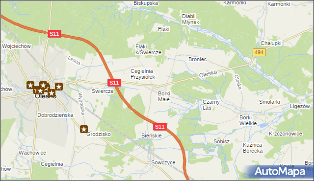 mapa Borki Małe gmina Olesno, Borki Małe gmina Olesno na mapie Targeo