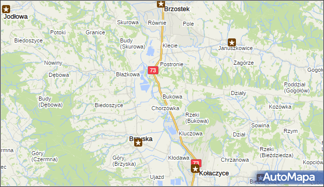 mapa Bukowa gmina Brzostek, Bukowa gmina Brzostek na mapie Targeo
