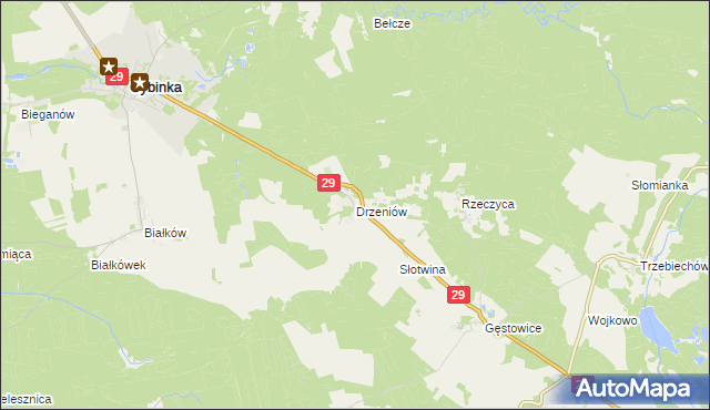 mapa Drzeniów gmina Cybinka, Drzeniów gmina Cybinka na mapie Targeo
