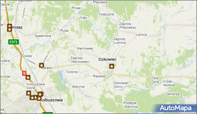 mapa Dzikowiec powiat kolbuszowski, Dzikowiec powiat kolbuszowski na mapie Targeo