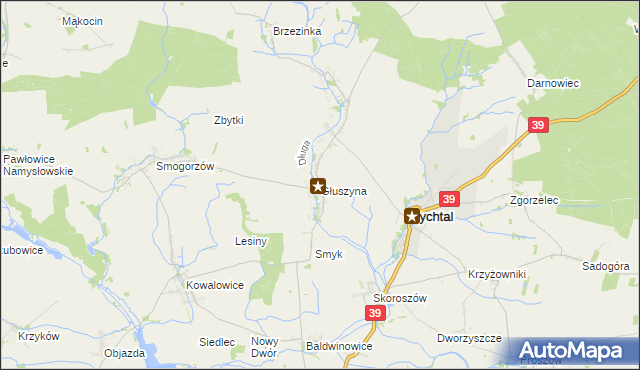 mapa Głuszyna gmina Namysłów, Głuszyna gmina Namysłów na mapie Targeo