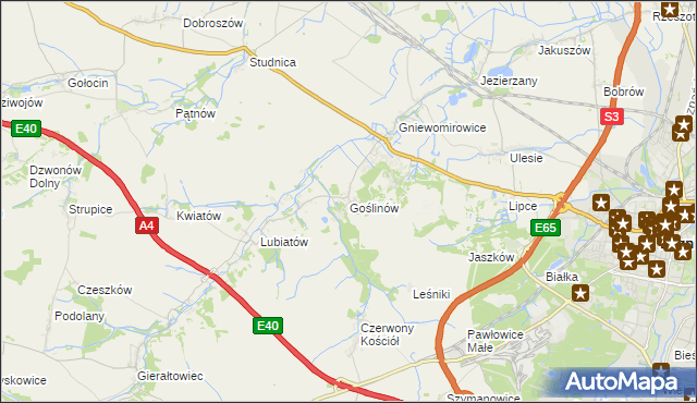 mapa Goślinów, Goślinów na mapie Targeo