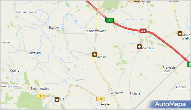 mapa Kolnica gmina Grodków, Kolnica gmina Grodków na mapie Targeo